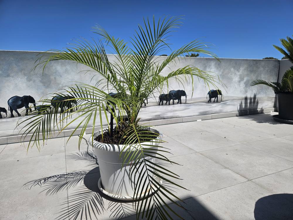 elephant mural for outdoor patio by Designer Brushworx